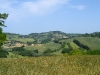 2 montegiove.JPG